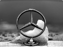 ©: Fotograf Mika Volkmann Freier Fotograf Mika Volkmann aus Köln