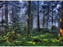 ©: Fotograf Martin Valk Fotograf Martin Valk aus Duisburg