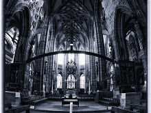 ©: Fotograf Steffen Oliver Riese Fotograf Steffen Oliver Riese aus Nürnberg