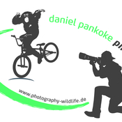 Logo/Portrait: Freier Fotograf Daniel Pankoke Logo/Portrait: Freier Fotograf Daniel Pankoke