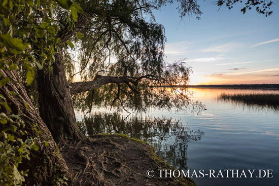 Fotograf Thomas Rathay Brandenburg