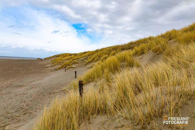 Foto 2: Fotograf FRIESLAND FOTOGRAFIE 