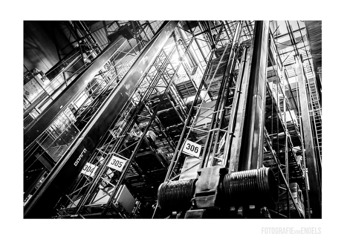 Foto 8: Fotograf Fotografie von Engels