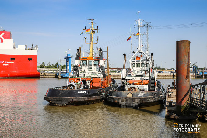 Foto 10: Fotograf FRIESLAND FOTOGRAFIE 