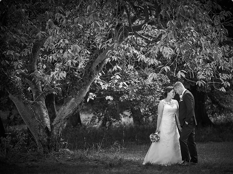 ©: Fotograf JF Fotodesign Fotograf JF Fotodesign aus Preetz