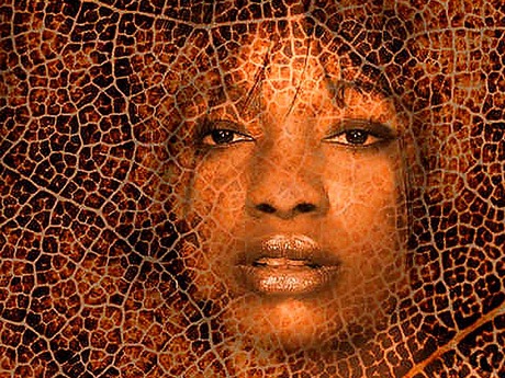 thumbnail 5 Elmar Theurer Fotografie