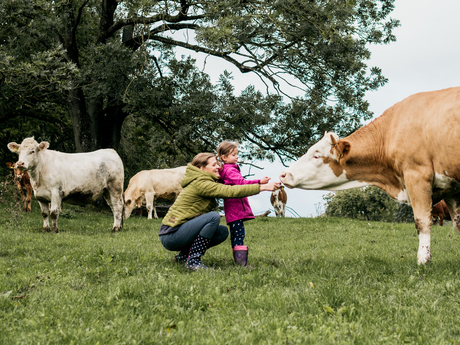 thumbnail 33 nina skripietz fotografie