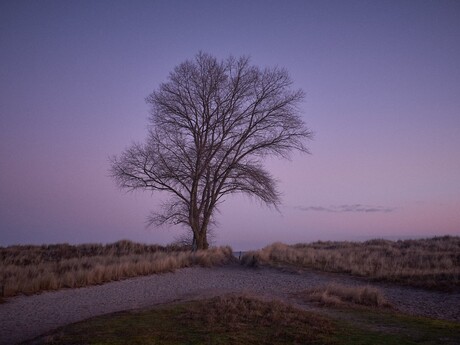 thumbnail 19 Jerrit Peinelt