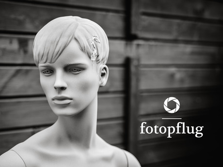 thumbnail 1 Fotopflug