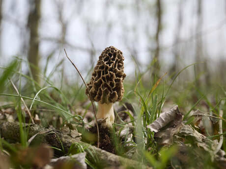 thumbnail 22 Nathalie Zimmermann