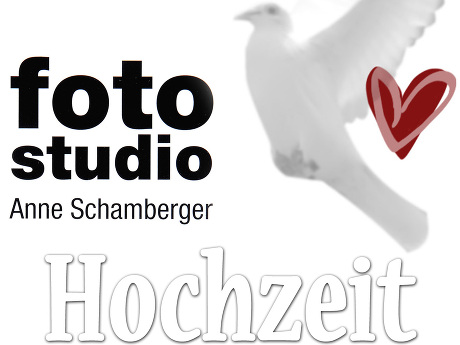 thumbnail 3 Anne Schamberger