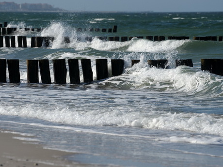 thumbnail 10 Fotograf:in Rostock