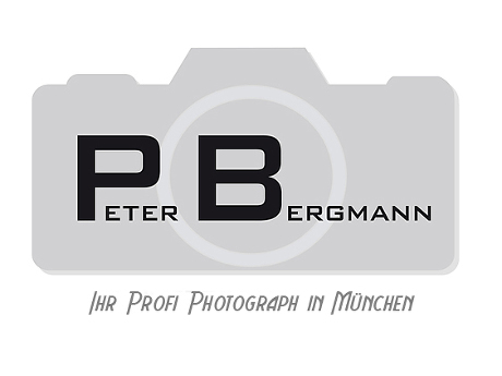 thumbnail 40 Peter Bergmann