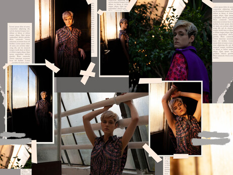 thumbnail 11 Photo Chatoyer