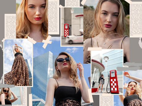 thumbnail 8 Photo Chatoyer