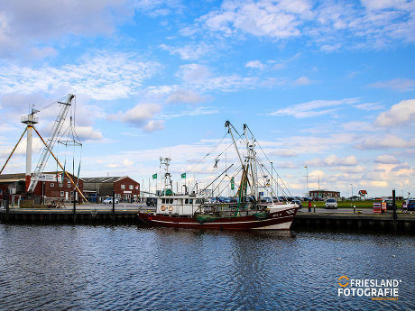 thumbnail 33 FRIESLAND FOTOGRAFIE 