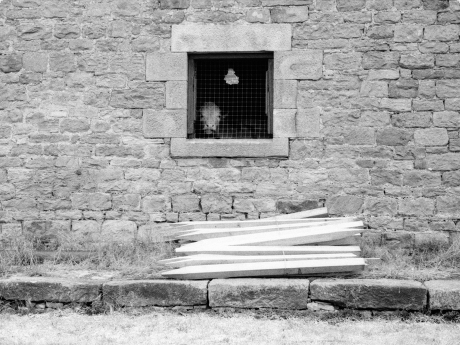 ©: Fotograf Batier Fotograf Batier aus Berlin