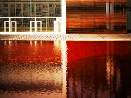 thumbnail 28 Alexander Schneider