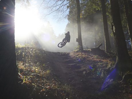 ©: Fotograf Ines Männl Freie Fotografin Ines Männl aus Erlangen