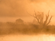 Foto: Fotograf Frederic Bauer