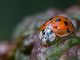 Foto: Fotograf Dirk Hattenbach