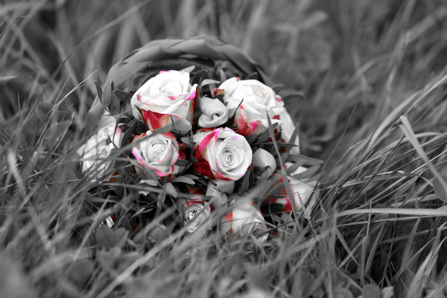 Foto 7: Fotograf Doreen Friedrich
