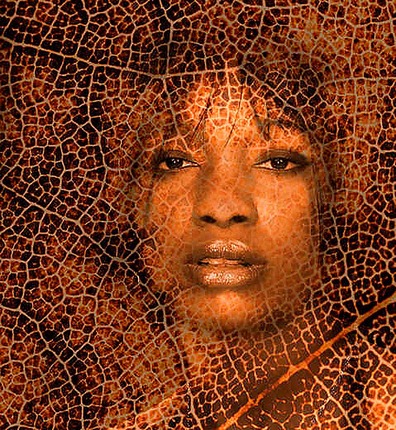 Foto 5: Fotograf Elmar Theurer Fotografie