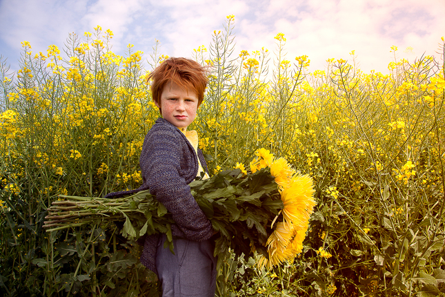 Foto 7: Fotografie Daams Werbe Fotograf