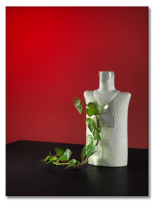 Foto 12: Fotografie aspecto photodesign