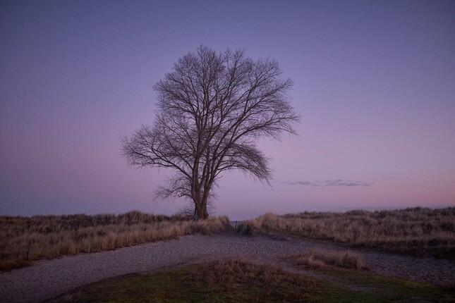 Foto 19: Fotograf Jerrit Peinelt