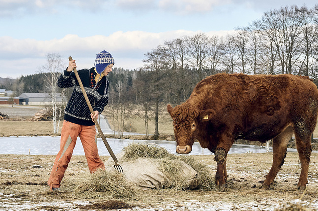 Foto 5: Freie Fotografin Nathalie Zimmermann
