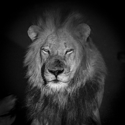 Foto 40: Fotograf Fotografie Günter Lenz