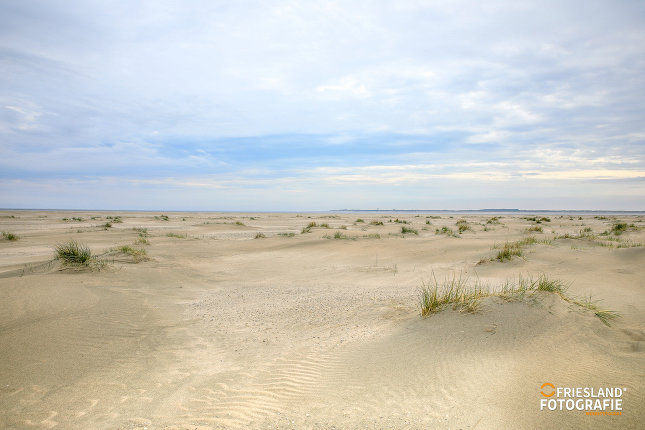 Foto 16: Fotograf FRIESLAND FOTOGRAFIE 