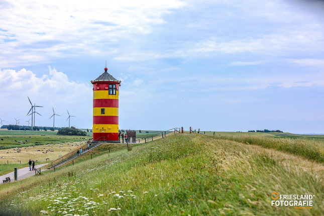 Foto 5: Fotograf FRIESLAND FOTOGRAFIE 