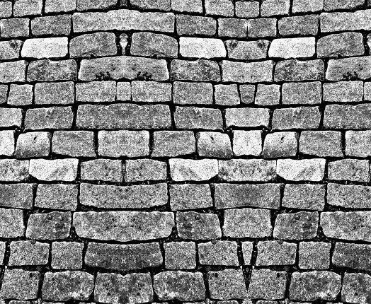 Foto 17: Fotograf Fotografie Günter Lenz