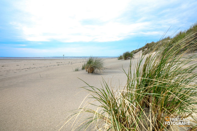 Foto 8: Fotograf FRIESLAND FOTOGRAFIE 