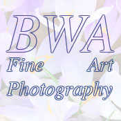 Logo/Portrait: Fotograf Bernd - Werner Alexander Logo/Portrait: Fotograf Bernd - Werner Alexander