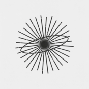 Logo/Portrait: Fotograf Viktoria Schmieder