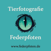 Logo/Portrait: Fotografen Federpfoten