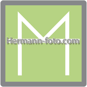Logo/Portrait: Fotograf Manuel Hermann Logo/Portrait: Fotograf Manuel Hermann