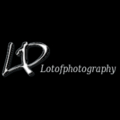 Logo/Portrait: Fotograf Lotof-photography