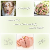 Logo/Portrait: Fotografin TPICs Fotokunst Logo/Portrait: Fotografin TPICs Fotokunst
