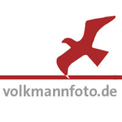 Logo/Portrait: Fotograf Jürgen Volkmann Fotografie