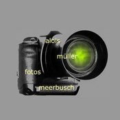 Logo/Portrait: Fotografie Alois Müller amfotos