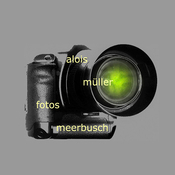 Logo/Portrait: Fotografie Alois Müller amfotos Logo/Portrait: Fotografie Alois Müller amfotos