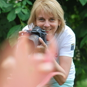 Logo/Portrait: Fotograf Margit Wild Logo/Portrait: Fotograf Margit Wild