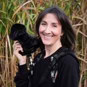 Logo/Portrait: Fotograf Andrea Lang Photography Logo/Portrait: Fotograf Andrea Lang Photography
