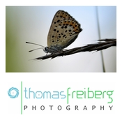 Logo/Portrait: Fotograf Thomas Freiberg Logo/Portrait: Fotograf Thomas Freiberg