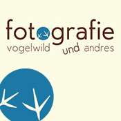 Logo/Portrait: Fotografie vogelwild und andres