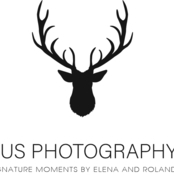 Logo/Portrait: Fotografin Elena Obermeier